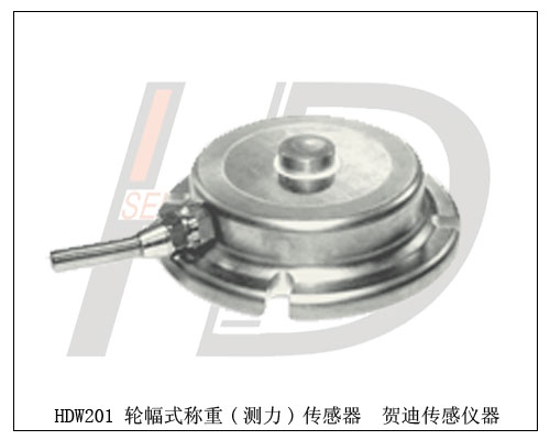 HDW201輪輻式稱重傳感生產(chǎn)廠家